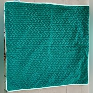 Set of 2 Green 16X16 Velvet Decorative Pillow Covers With Zipper